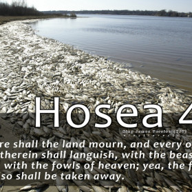 Hosea 4:3