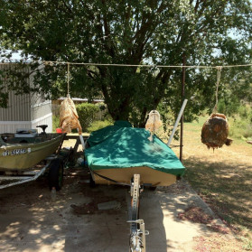 Catfish Heads on a Clotheline