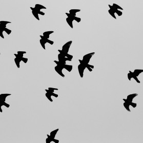 Two Completely Different Things