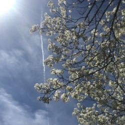 Awful Lonely Something