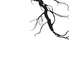 Swamp Isthmus