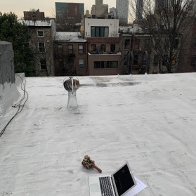 day 8; Apology to the future