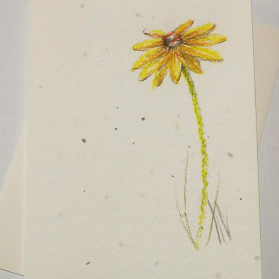 Take this Flower with you when you go