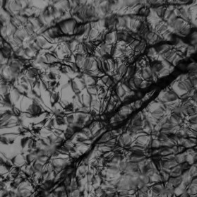 Aubade After the Storm