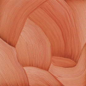 This is not a garden