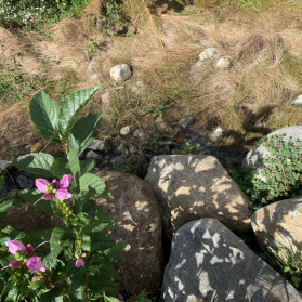 Why i started writing a novel