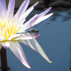 A Year lost & A year found