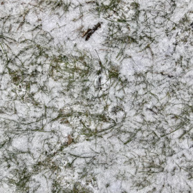 Winters Net