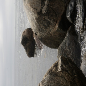 Sea Sirens