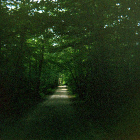 Haiku for New Hampshire