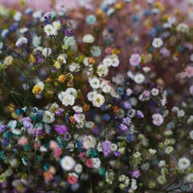 TO GREGORY, HAVING A TOUGH WEEK