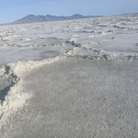 The salt of life