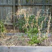 Parts of my Autobiography