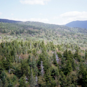 it was really just me there