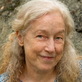 Interim POems