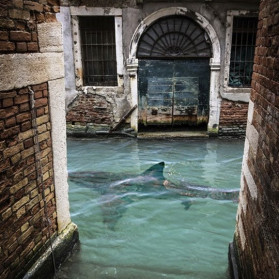 Some day, Underwater Archaeologists