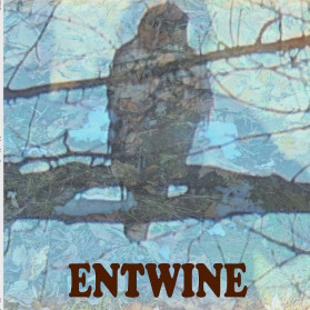 ENTWINE