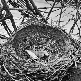 Furthering the seed's survival plan