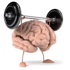 Brain Fitness