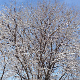 While You Were at the Hardware Store, I Sat by the Window to Watch the Storm