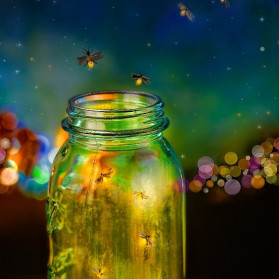 Fire Flies
