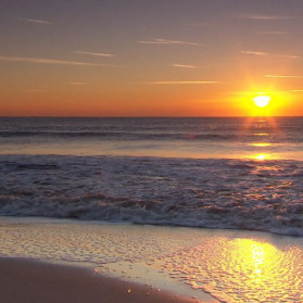 Before You Brought Me Home